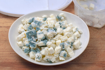 Moldy white cheese in a white plate. cheese, an expired dairy product