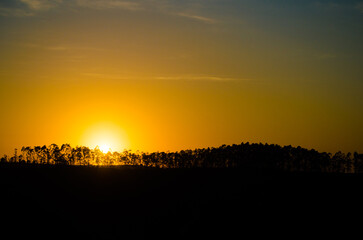 sunset in the field