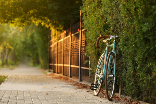 Stylish bicycle near green fence on city street