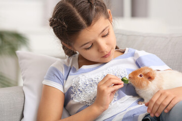 Little girl feeding cute guinea pig at home