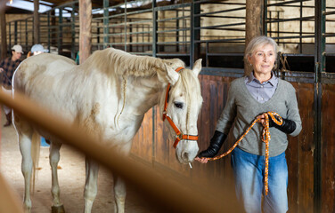 Aged female stable worker leading white horse by bridle in barn. Equestrian business concept..