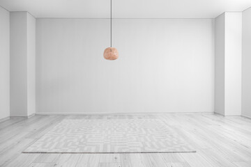 Stylish lamp and hanging lamp in big light room