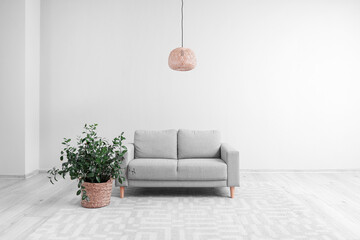 Grey sofa with houseplant, carpet and hanging lamp in big light room