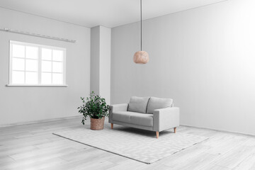 Grey sofa with houseplant, carpet and hanging lamp in big light room
