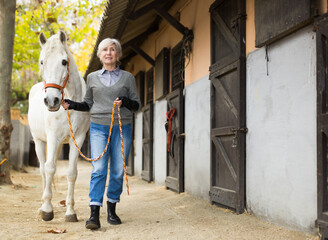 European elderly woman rancher holding rein and leading horse out of stable.