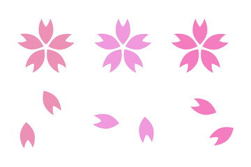 Cherry blossom icon and cherry blossom petal icon set. Vector.