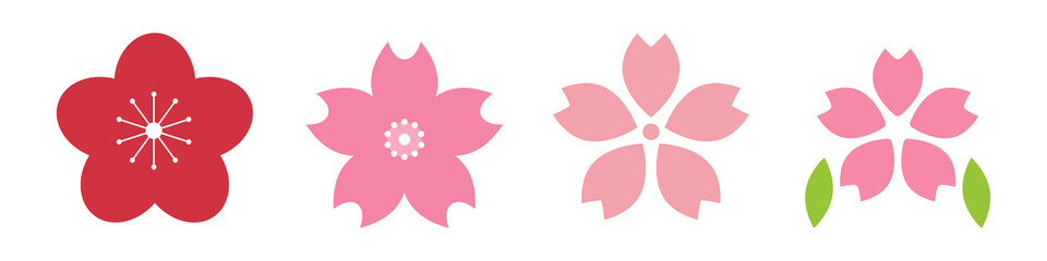 Illustration of various cherry blossoms. Vector.