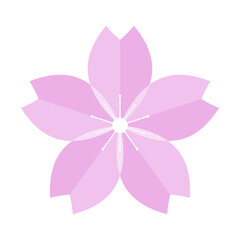 Realistic cherry blossom icon. Vector.
