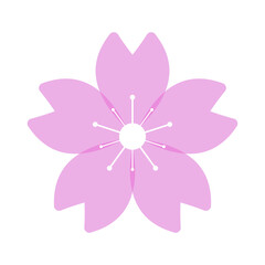 Cherry blossoms are the spring flower of Japan. Vector.