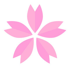 Pink cherry blossom petals. Vector.