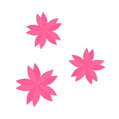 Pink cherry blossom icons. Vector.