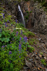 Waterfall And Larkspur