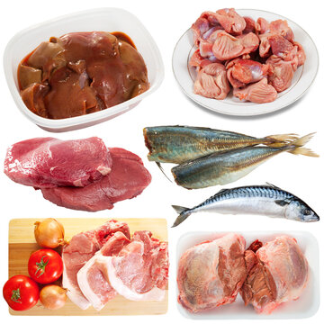 Collection of raw meat, poultry fish isolated on white background