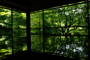 Japanese garden of Rurikoin temple at early summer