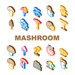 Mushroom Vegetable And Fungus Icons Set Vector. Shitake And Porcini, Morel And Toadstool, Fungi Amanita Mushroom. Delicious Natural Vitamin Champignon And Truffle Isometric Sign Color Illustrations