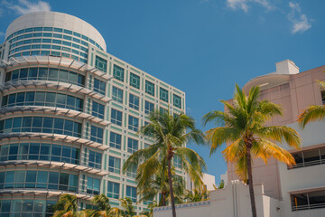 Fototapeta na wymiar beach hotel apartment vacations tropical palms miami usa florida beach luxury 