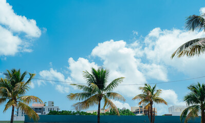 palm trees on the beach sky color blue clouds Caribbean tropical miami Cuba 