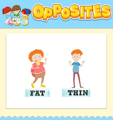 Opposite words for fat and thin