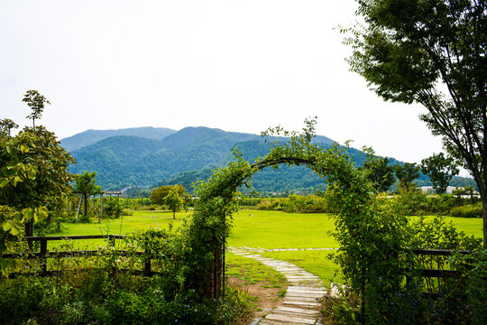 カーブドッチワイナリー 新潟 (Cave D'occi Winery, Niigata, Japan)