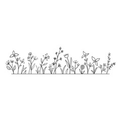 Vector wild herbs and flowers doodle illustration. Field with grass , plants and wildflowers isolated on white background