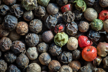 pepper background, Colored pepper, peppercorns, condiment, pepper, peppercorns