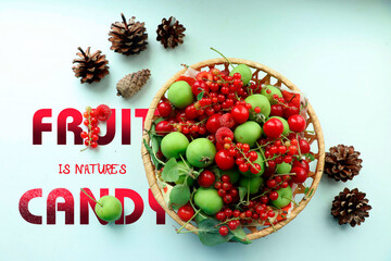 Fruits In Nature Candy. Fresh Fruit Basket. Wallpaper With Fruit Basket. 