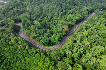 road and green trees from above in the summer forest