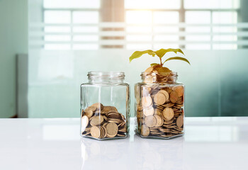Green plant growth from coins in glass jar