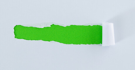 Torn paper on green background