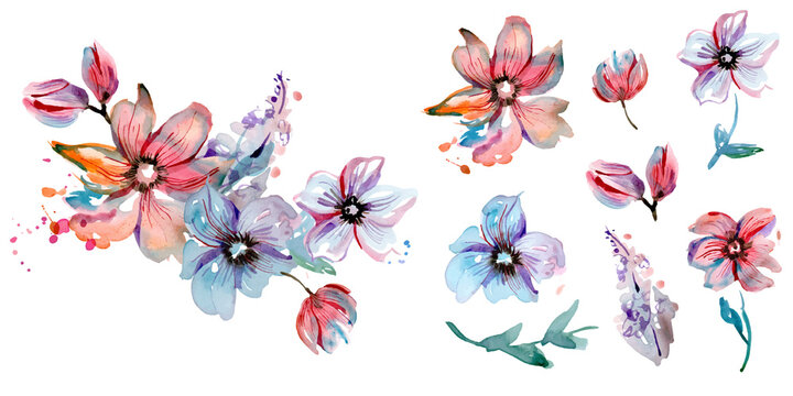 Watercolor pink and blue flowers. Elements for design of greeting cards, invitations. Vector illustration