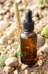 One brown glass dropper bottle with serum, essential oil or other cosmetic product outdoors. Natural Organic Spa Cosmetic Beauty concept