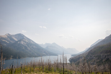 Burnt mountain forest overlooking Waterton Lake