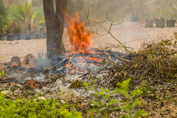 Burning and destroying the environment,global warming