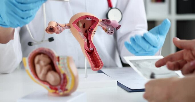 Gynecologist consults woman in early stages of pregnancy