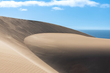 Fototapeta na wymiar Namibia, the Namib desert, graphic landscape of yellow dunes, background 