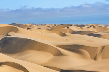 Fototapeta na wymiar Namibia, the Namib desert, graphic landscape of yellow dunes, background 