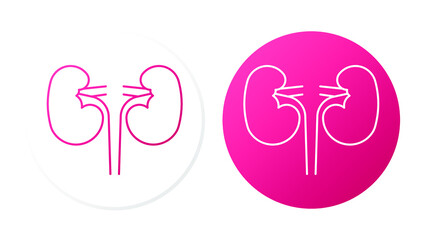 kidney. Line icon on button for web design