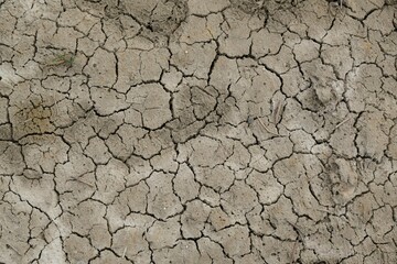 A dry, cracked surface of the earth