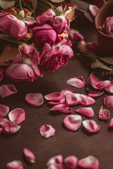 fading roses of pink color and rose petals on a dark background