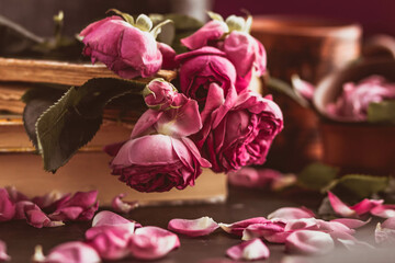 Still life in vintage style: withering roses and old books