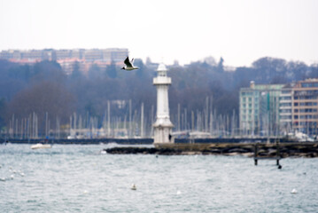 Fototapeta na wymiar White light tower with seagull in the air at harbor of City of Geneva at Lake Geneva on a cloudy spring day with defocus background. Photo taken March 18th, 2022, Geneva, Switzerland.