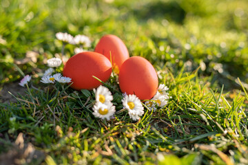 Beautiful Easter eggs on the meadow