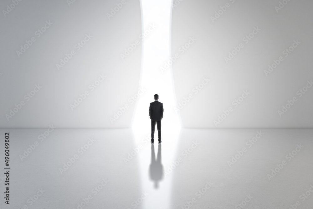 Aufkleber back view of young business man in light concrete interior with bright opening window and mock up pl