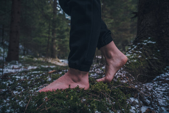 bare female feet on the grass with moss in the forest