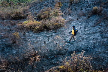 Obraz premium After wildfire, man walking acroos the ash field, Sai Kung, Hong Kong, Asia