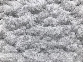 white snow background