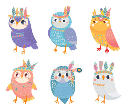 Wild tribal owl collection, night animal with colored feathers