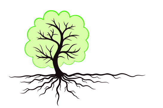  A Symbol Of A Green Tree With Roots.
