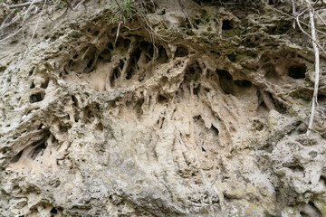 Ancient river formations in the rock