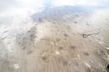 Bubbles in the sand showing that the tide is coming in